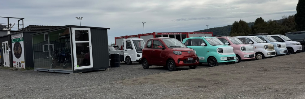Styrian Cars