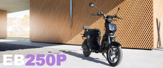 E.F.O Mopedfahrrad EB250P