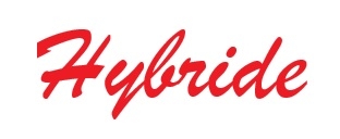 Hybride Variante für Geco Automobile