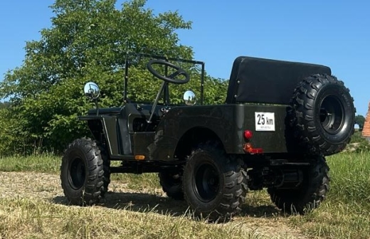 Styrian Tuk ® 2.0 Legales Zweispuriges Lastenfahrrad Förderungsfähig Dank Made in Austria
