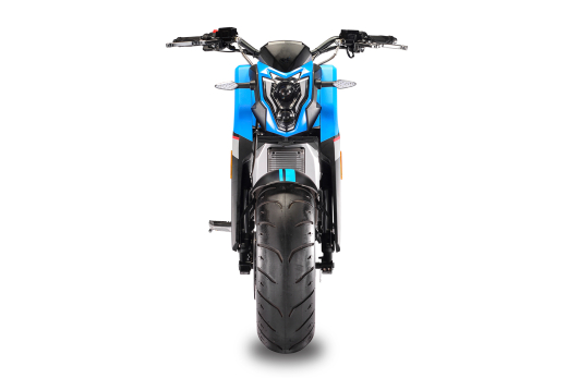Velocifero 3000W 60V Beach Mad Bike EEC