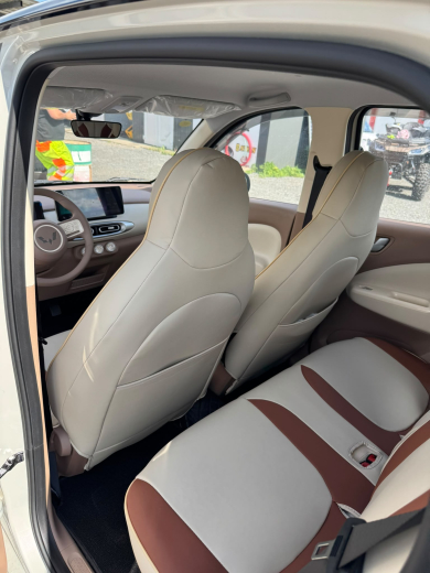Torrani EV05 Elektro Auto / 4 Sitzplätze / Schnelllader / 220km Reichweite / Klima /Leder / 360Grad Rundum Kamera /usw.