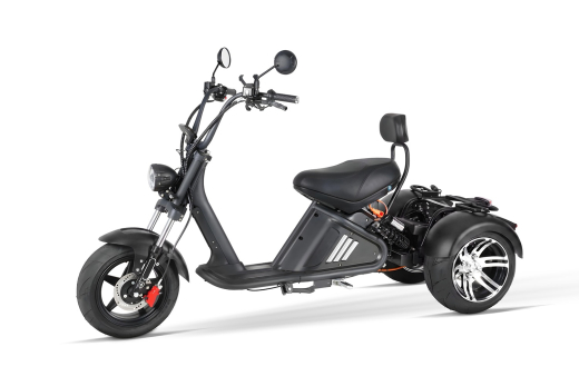 Nitro CRUZER Elektro TRIKE Vi2