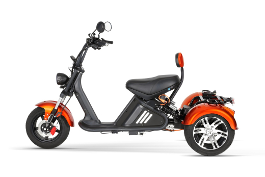 Nitro CRUZER Elektro TRIKE 250 Lastenfahrrad Legal