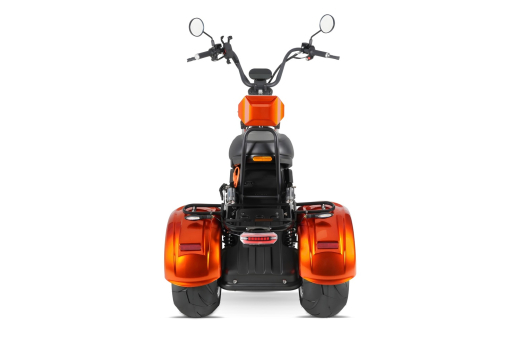 Nitro CRUZER Elektro TRIKE 250 Lastenfahrrad Legal