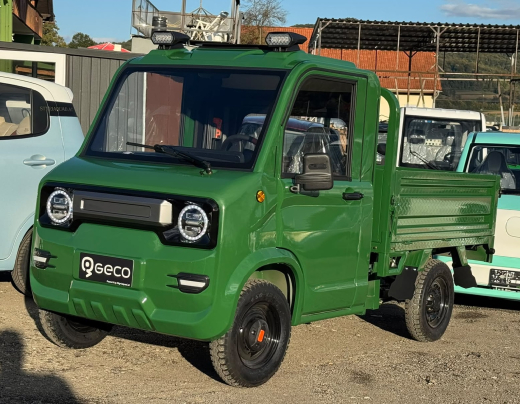 Geco Worker P455 gxP Elektro Moped Transporter XL Pickup