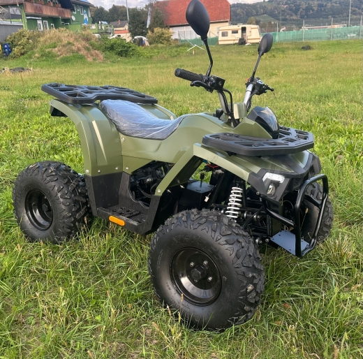 Goliath 1.1 ATV Quad Modell 25 2 Personenzulassug Made in Austria