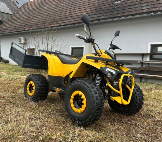 Goliath 1.1 ATV Quad Modell 25 2 Personenzulassug Made in Austria