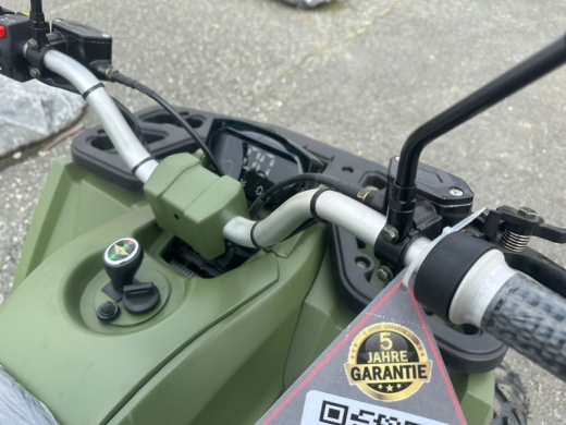 Goliath 1.1 ATV Quad Modell 25 2 Personenzulassug Made in Austria