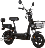 E.F.O Mopedfahrrad EB250S