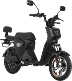 E.F.O Mopedfahrrad EB250P