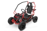NITRO MOTORS 1000W Eco midi Kinder Buggy Racer PRM 6 ALM