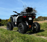 Neu Goliath 3.1 Modell 26 Modernes Elektro ATV inkl Seilwinde und Griffheizung 2 Personenzulassung