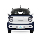 Geco Pony 4You Elektro Auto 2 oder 4 Sitzplätze Max Speed -100KmH inkl. ABS und Airbag