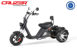 Nitro CRUZER Elektro TRIKE 250 Lastenfahrrad Legal