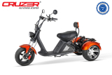 Nitro CRUZER Elektro TRIKE 250 Lastenfahrrad Legal