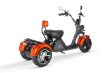Nitro CRUZER Elektro TRIKE 250 Lastenfahrrad Legal