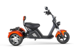 Nitro CRUZER Elektro TRIKE 250 Lastenfahrrad Legal