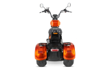 Nitro CRUZER Elektro TRIKE 250 Lastenfahrrad Legal