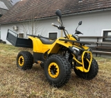 Goliath 1.1 ATV Quad Modell 25 2 Personenzulassug Made in Austria