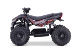 Nitro Motors E-QUAD Anaconda VX