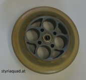 120 Watt E- Scooter Vorderreifen inkl. Lager