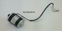 Elektro Motor für 120W E-Scooter