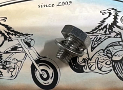 Universal Radbolzen für Stahlfelgen passend für gängige ATV / Quad`s